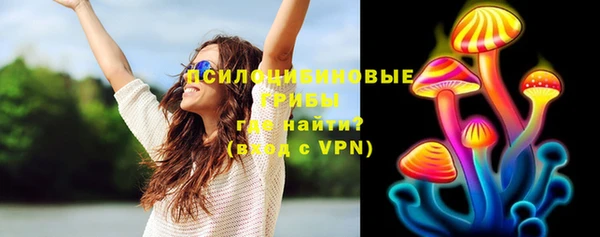 Альфа ПВП Алзамай
